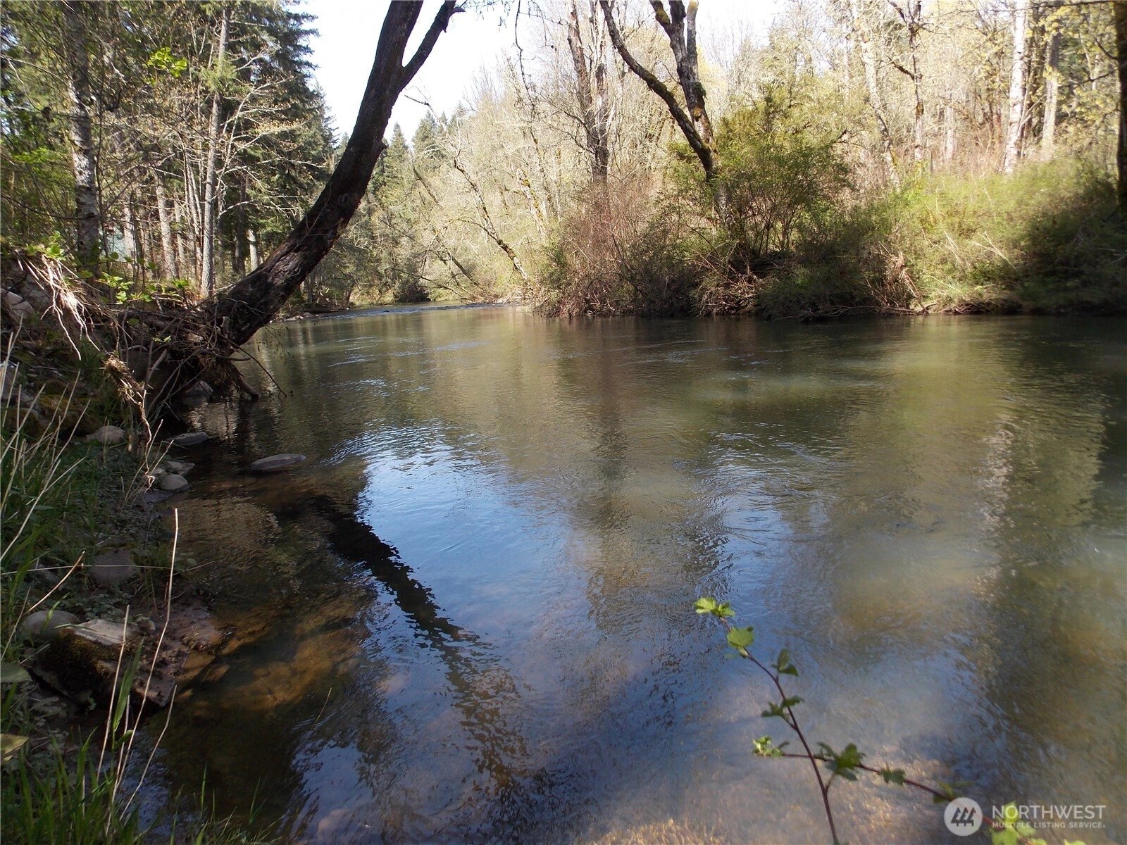 16302 Village Dr SE Unit  Rainier WA 98576