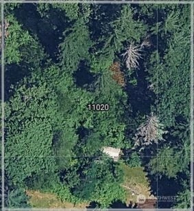 11020 NE 108th St Kirkland WA 98033