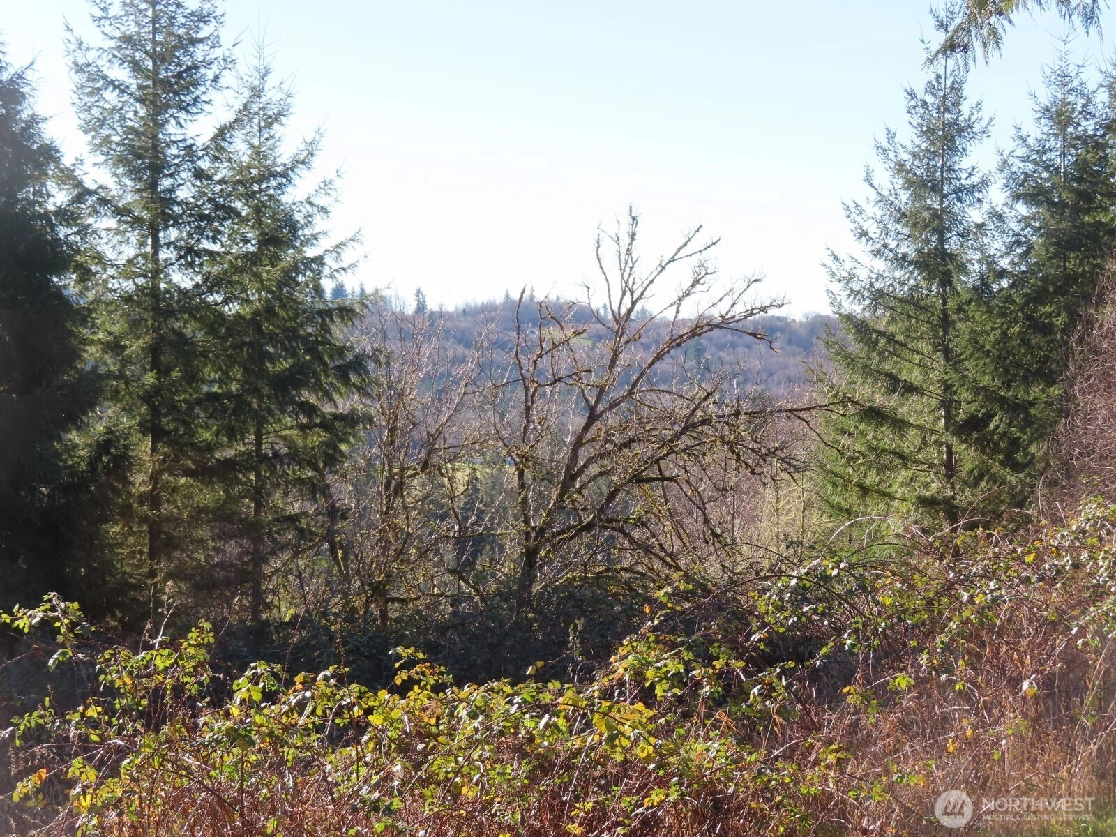 0 XXX Larson Rd Mossyrock WA 98564