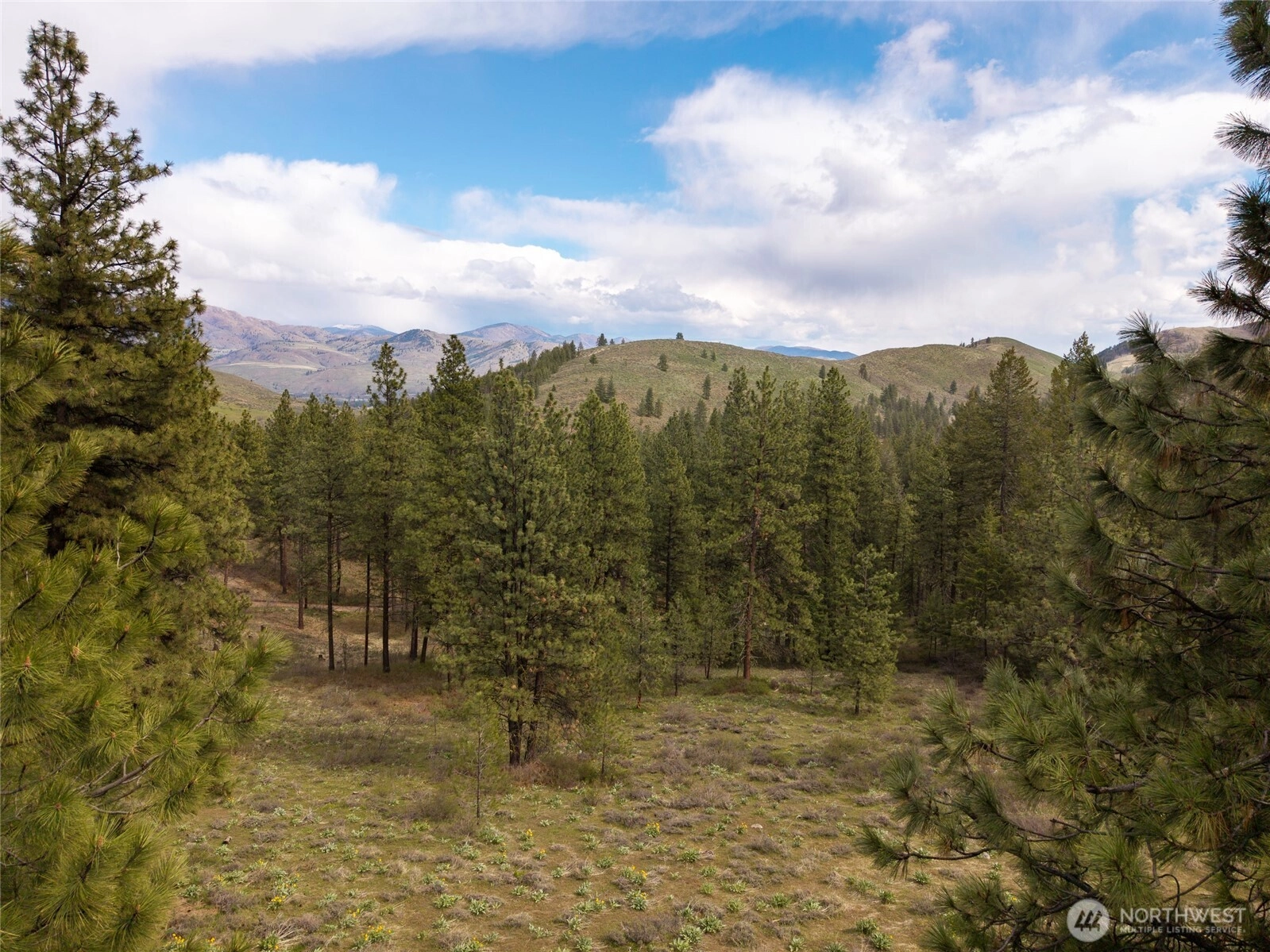 0 LOT 61 Whitebark Ln Unit  Winthrop WA 98862