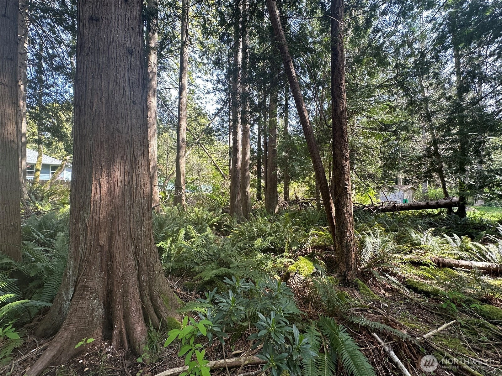 Lot 9 Tyee Dr Unit  Point Roberts WA 98281