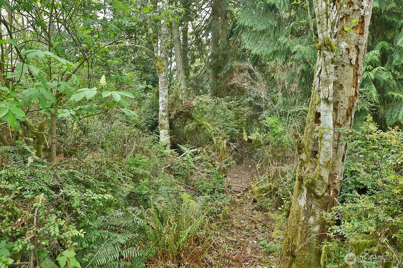 0 XXX Goss Lake Rd Langley WA 98260