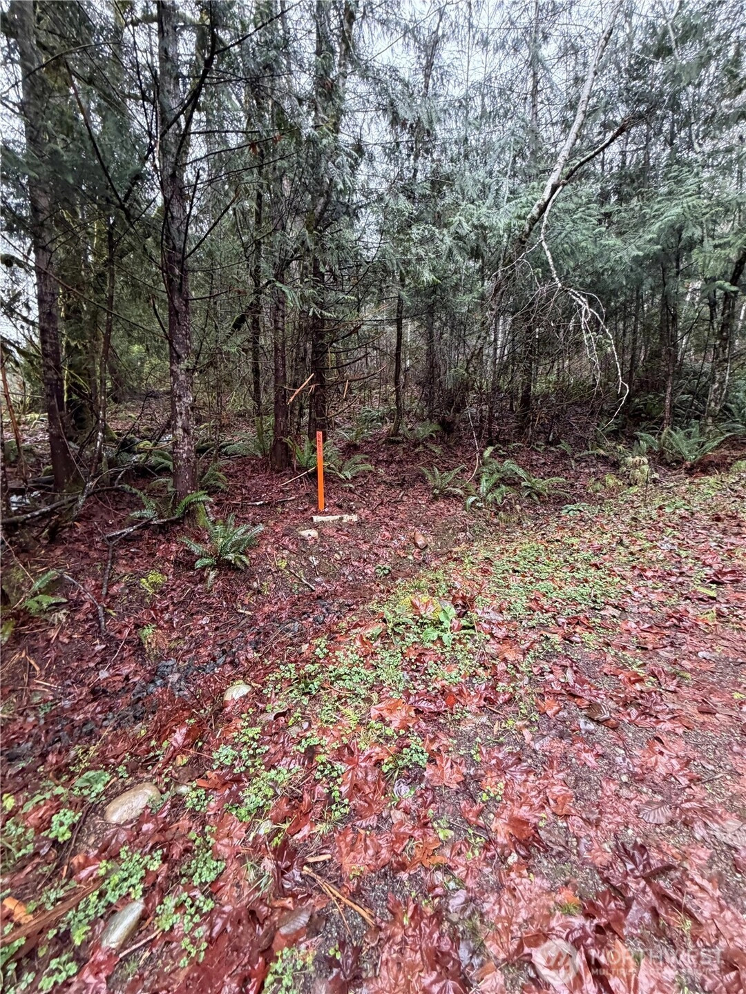 0 XXX Mountain Trl Unit  Brinnon WA 98320
