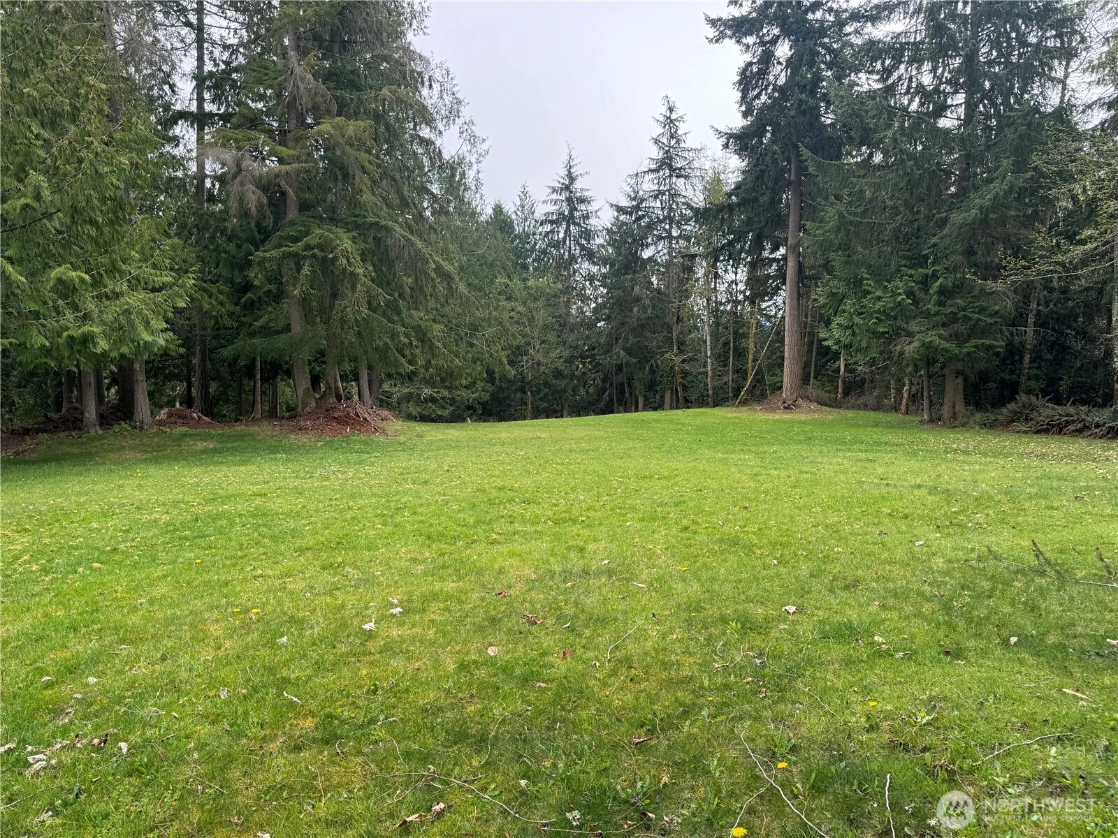 163rd St E Wilkeson WA 98396
