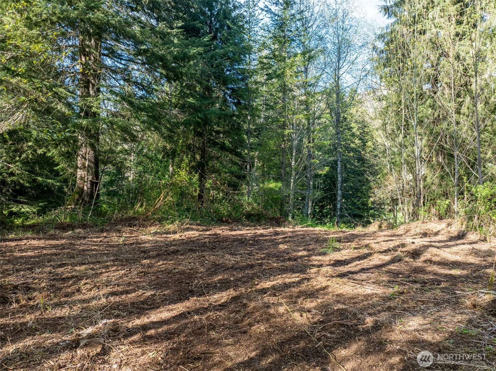 Davis Lake Rd Morton WA 98356