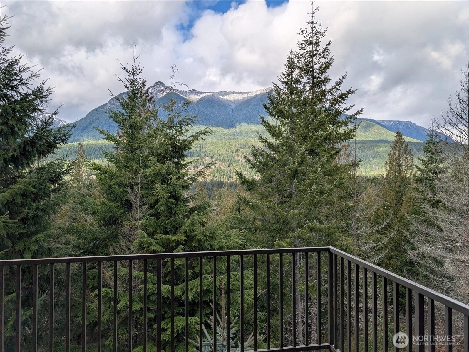 106 View Place Packwood WA 98361