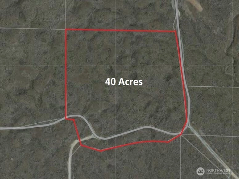 13 5 Rd Wilson Creek WA 98860