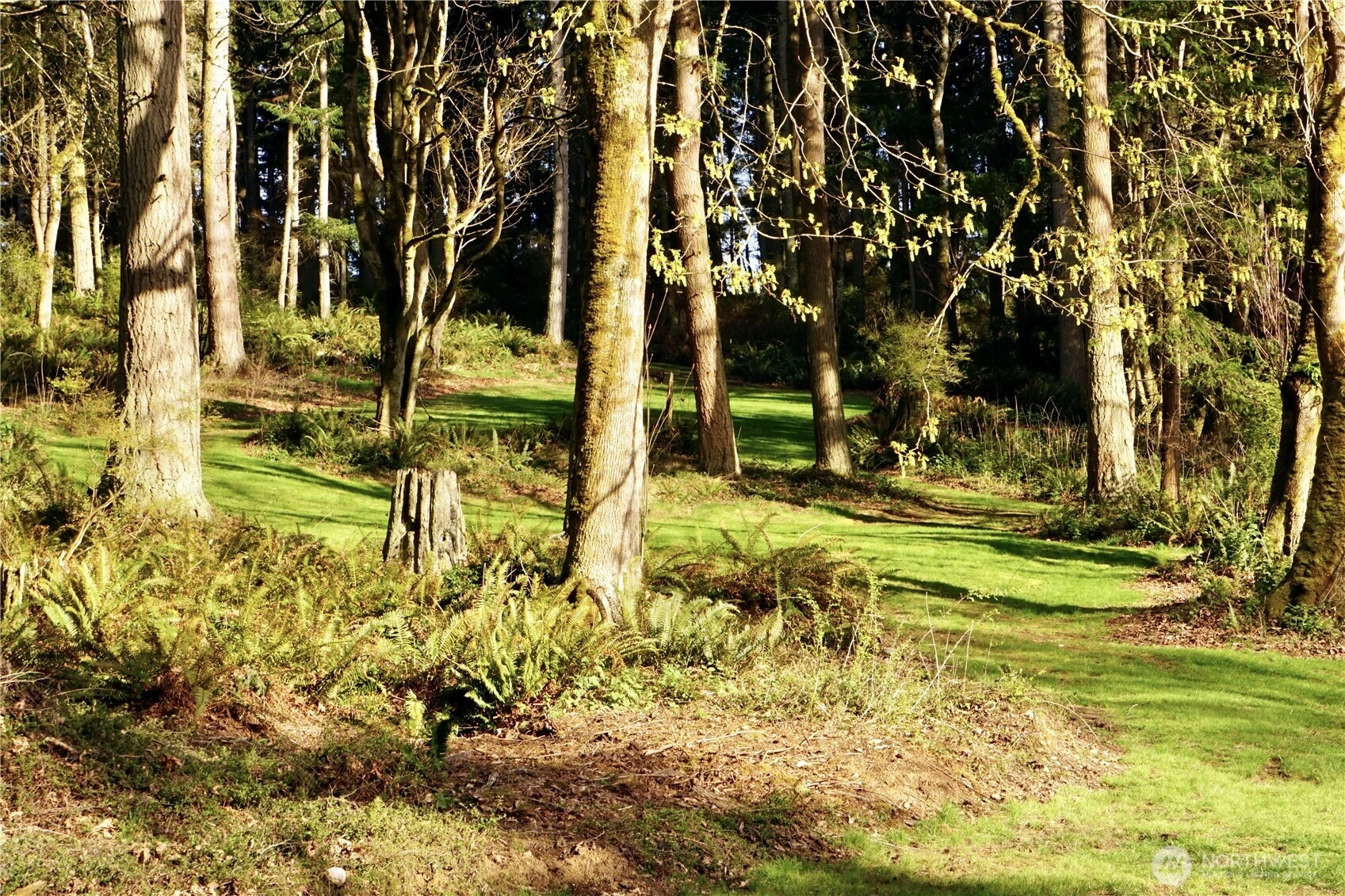 4236 Goatsbeard Ln Clinton WA 98236