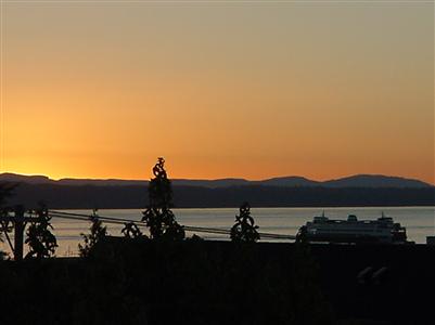 437 5th Ave S Unit 3D Unit 3D Edmonds WA 98020