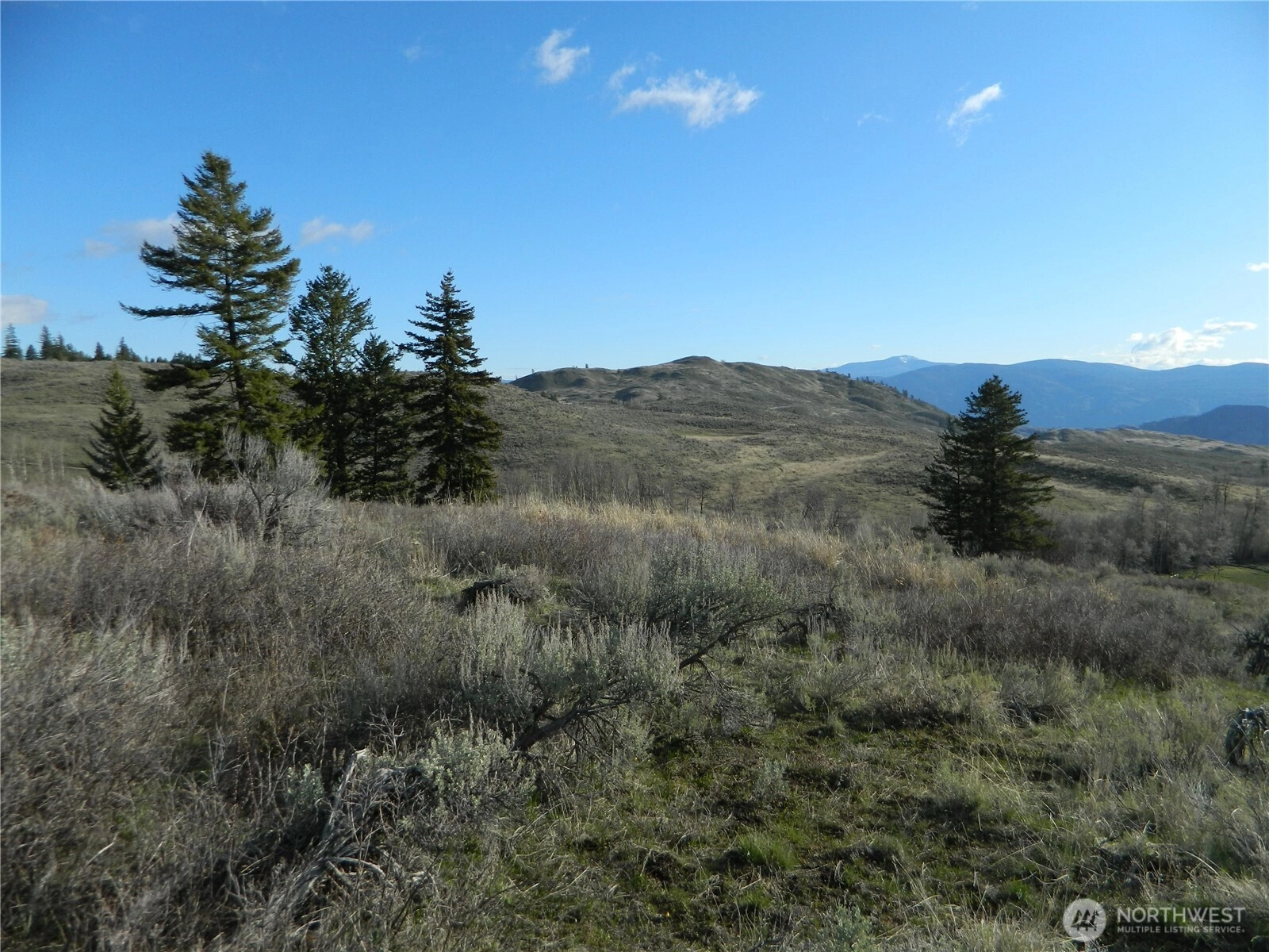 Tbd Ellemeham Ridge Rd Tonasket WA 98855