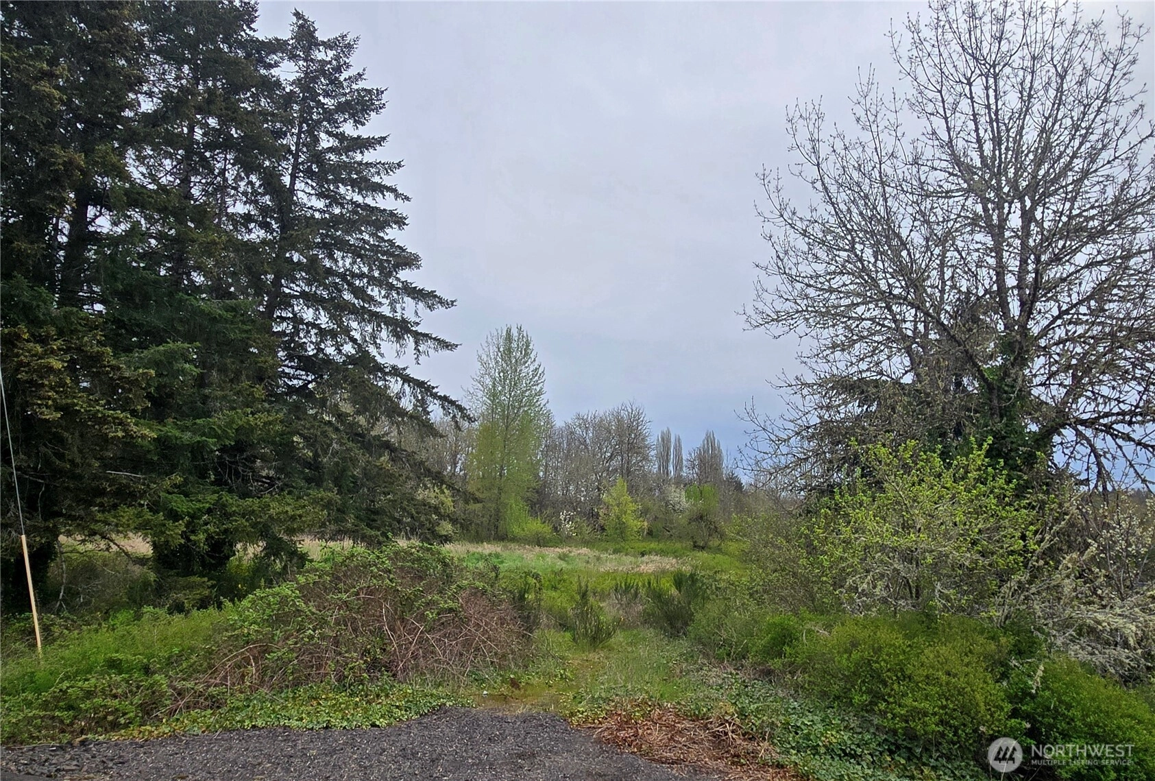 198 Chandler Rd Doty WA 98539