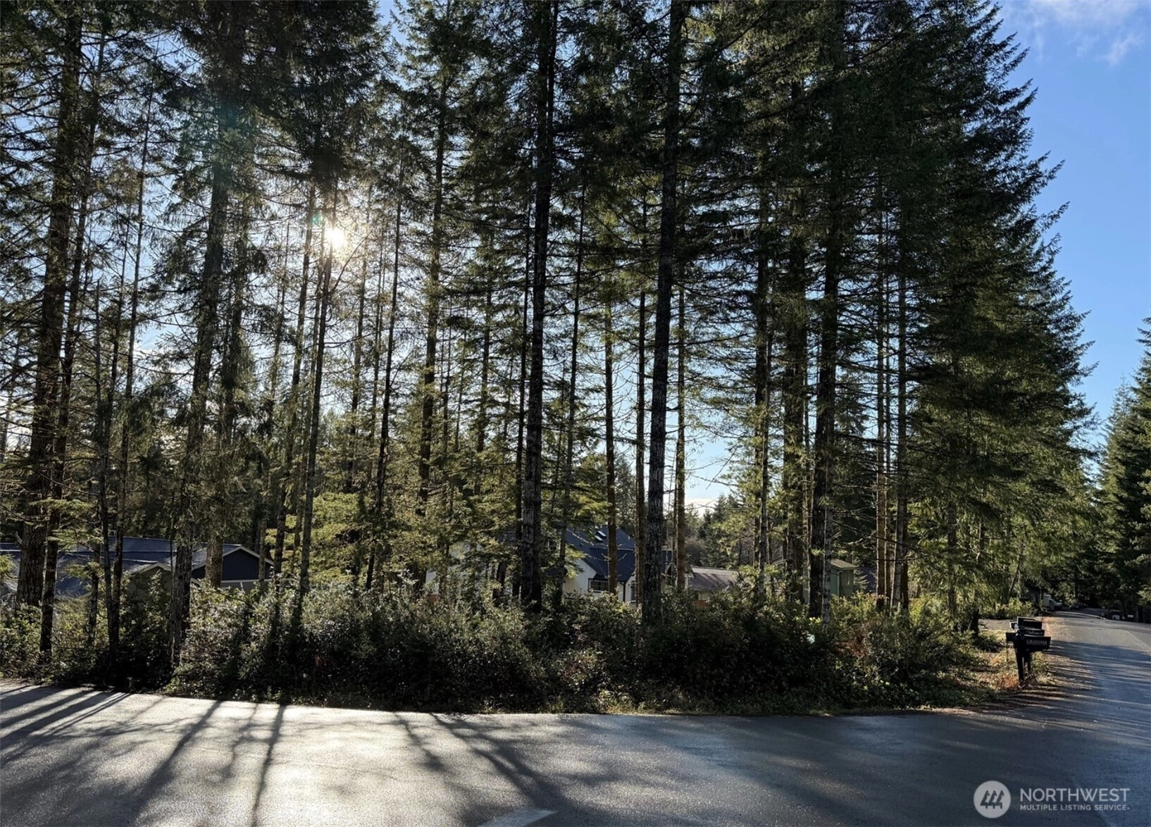 Blackberry Ln Union WA 98592