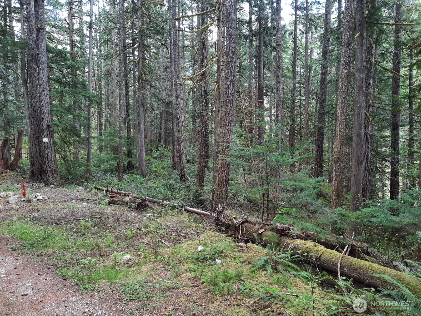 Cascade River Rd Concrete WA 98267