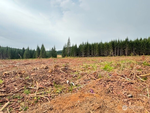 119 Woodberry Ln Unit  Winlock WA 98596