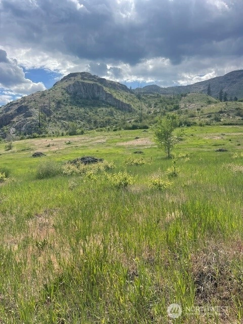 2 Lot 2 Black Canyon Rd Unit  Pateros WA 98846