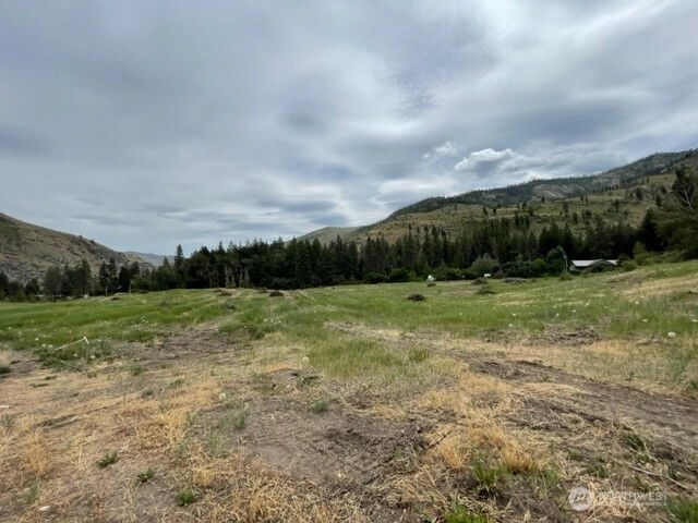 4 Lot 4 - Black Canyon Rd Unit  Pateros WA 98846