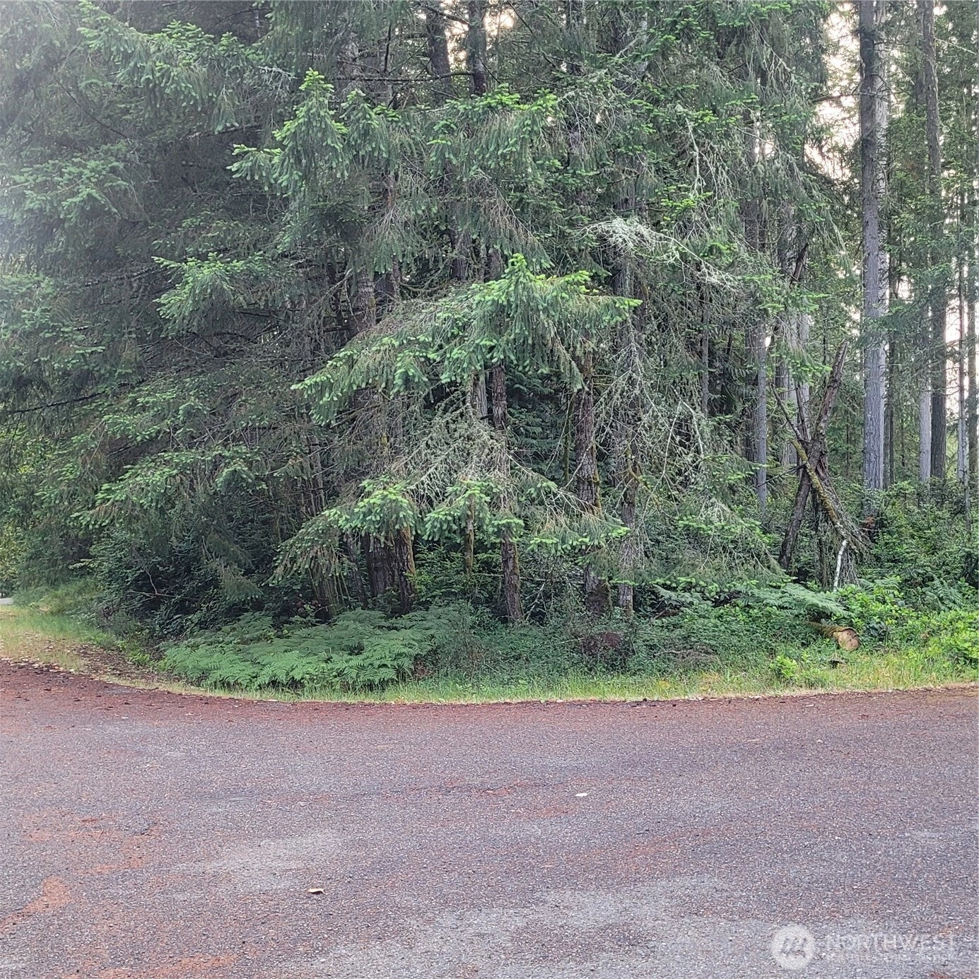 8922 129th Ave Ct Anderson Island WA 98303