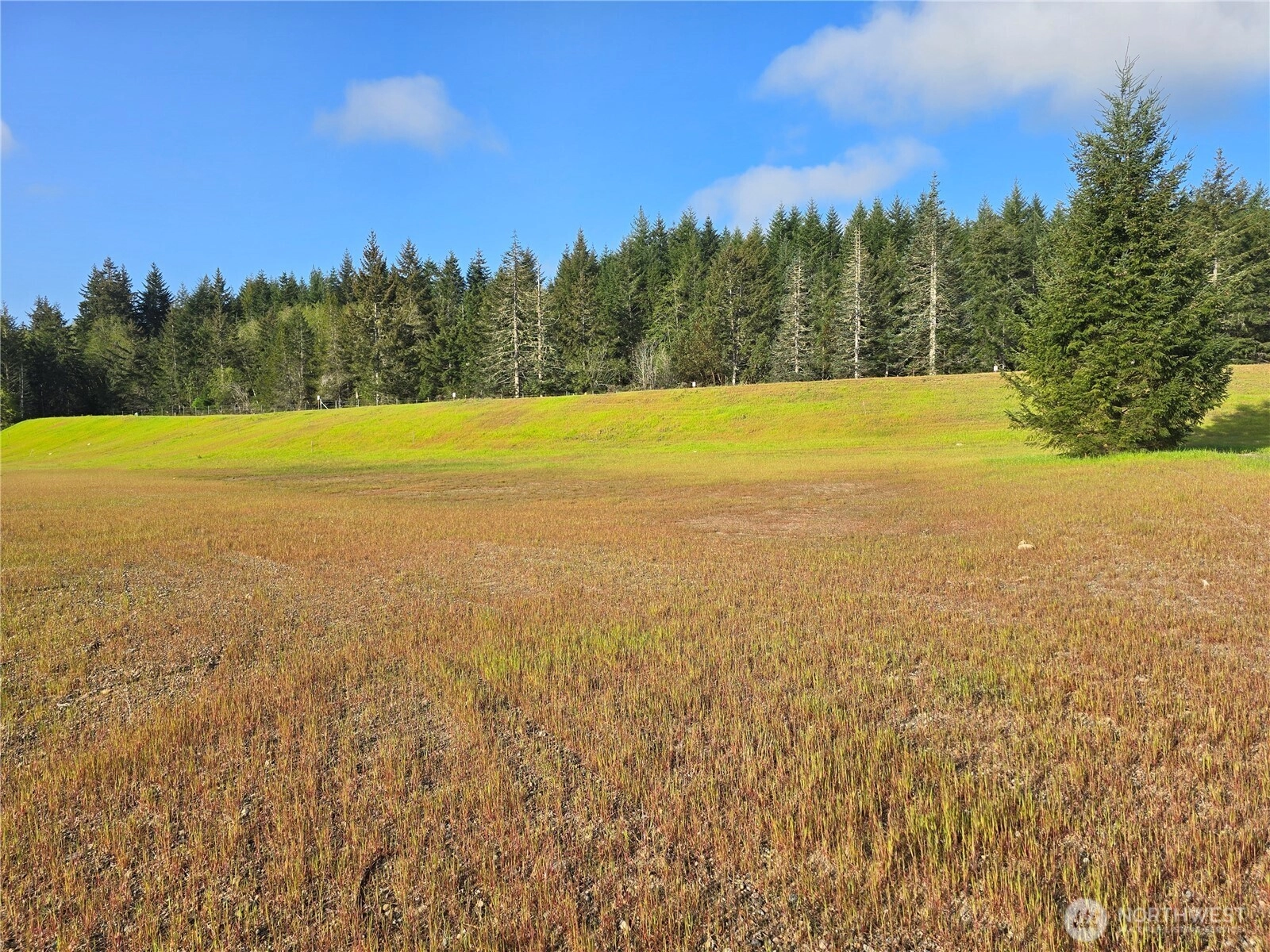 91 E Virgil Dr W Unit  Allyn WA 98524