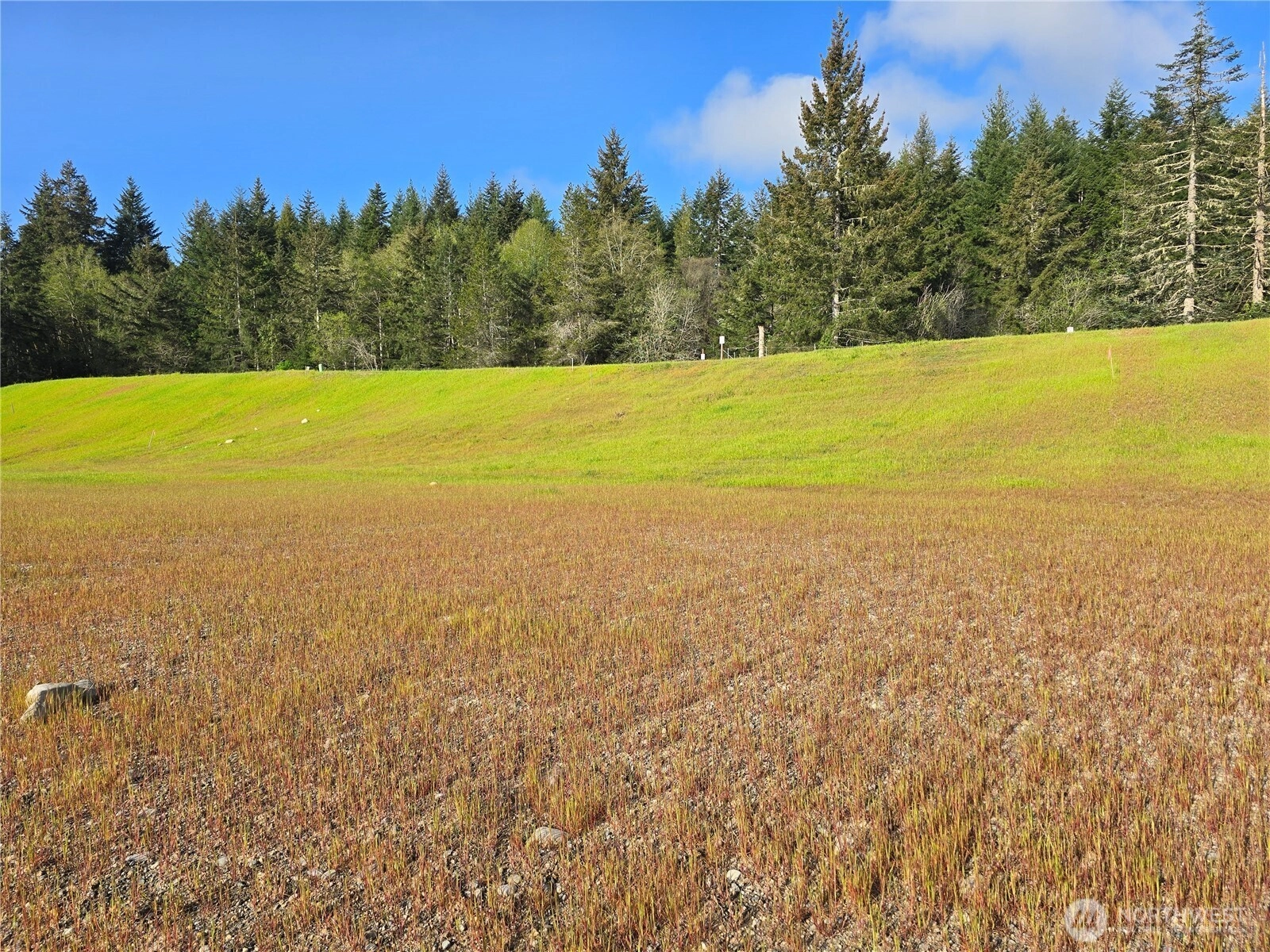 51 E Virgil Dr W Unit  Allyn WA 98524