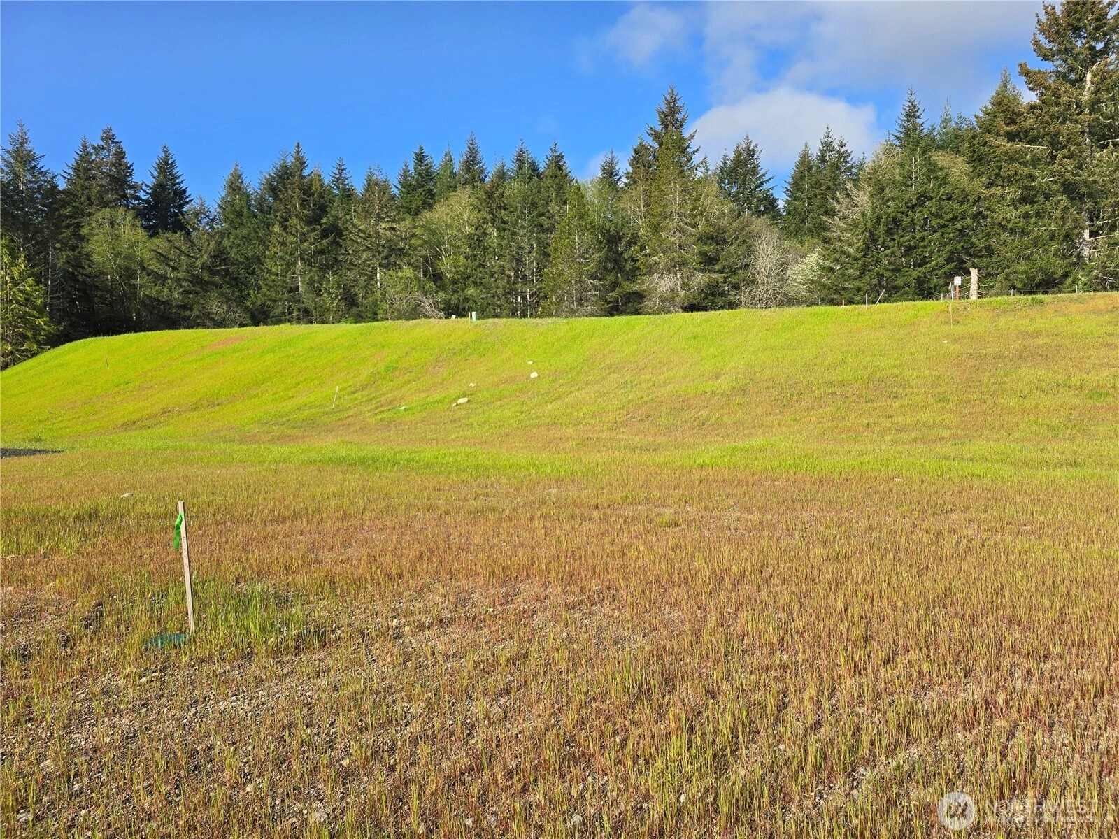 41 E Virgil Dr W Unit  Allyn WA 98524