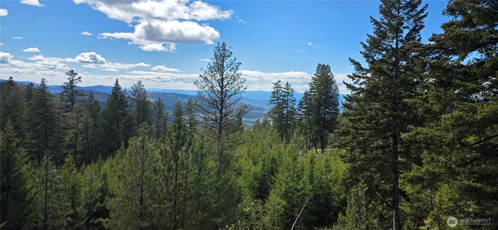 1112 Tbd Bandtman Creek Rd Tonasket WA 98855