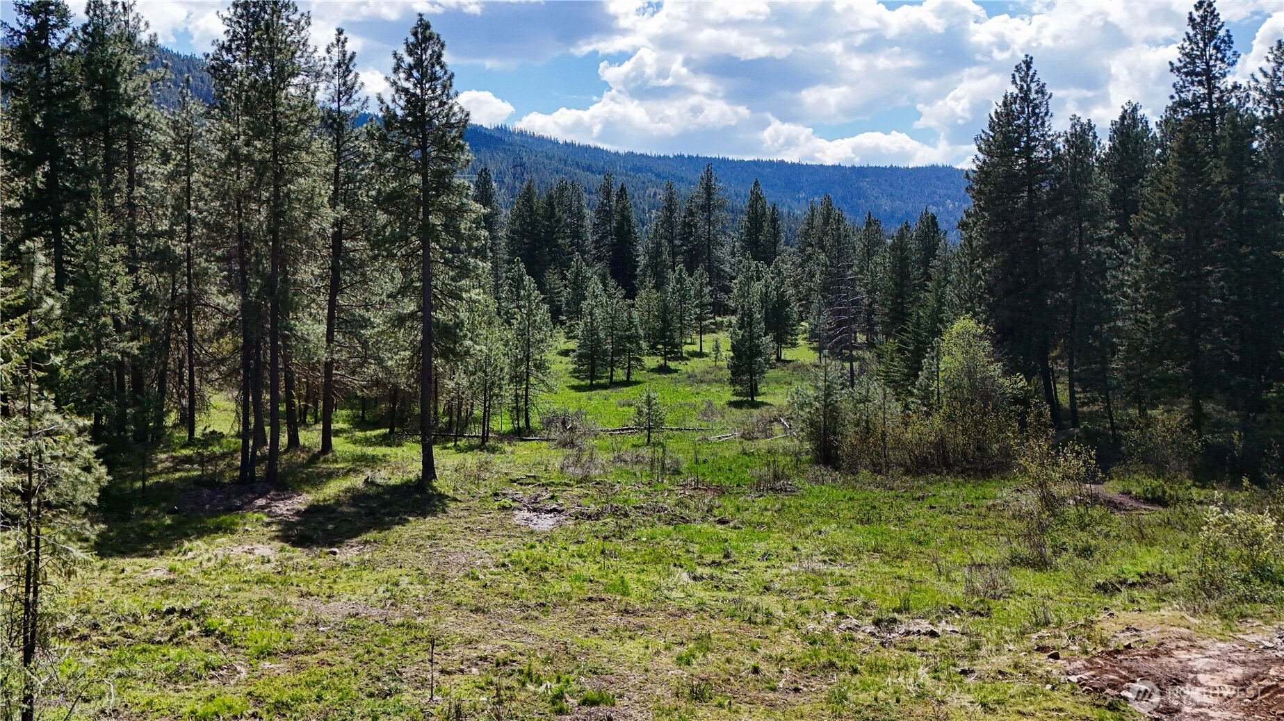 325 Graham Rd Cle Elum WA 98922