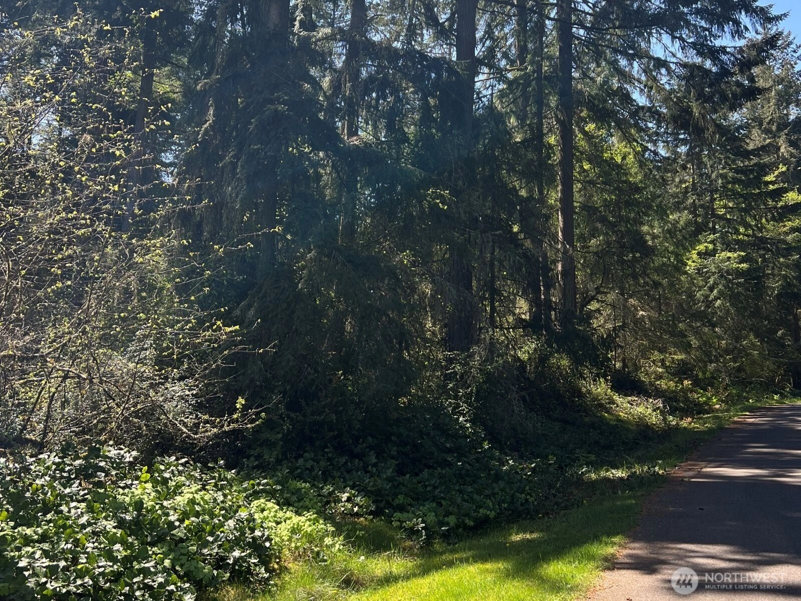 10404 Suncrest Dr Anderson Island WA 98303