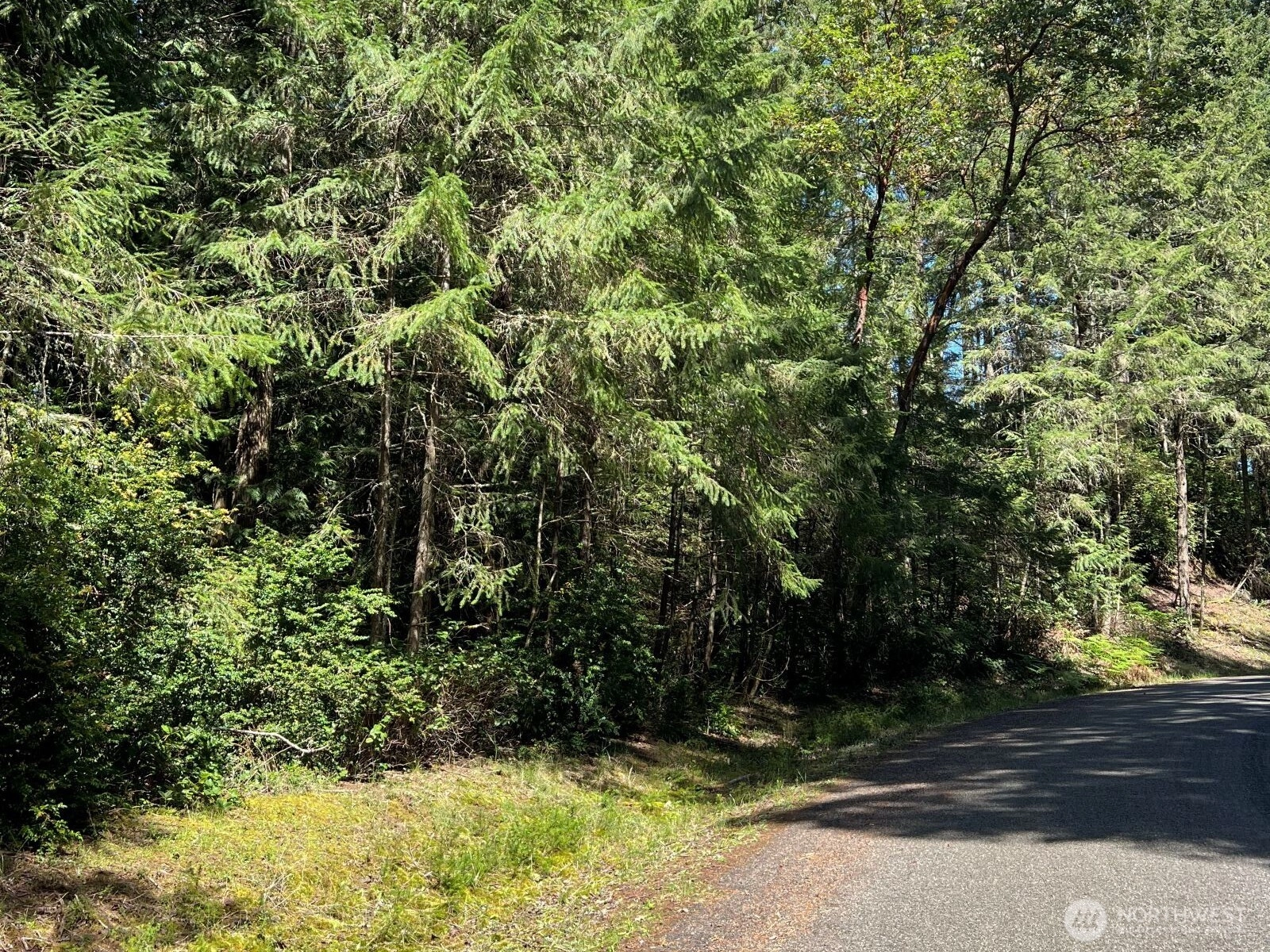 10919 Suncrest Dr Anderson Island WA 98303