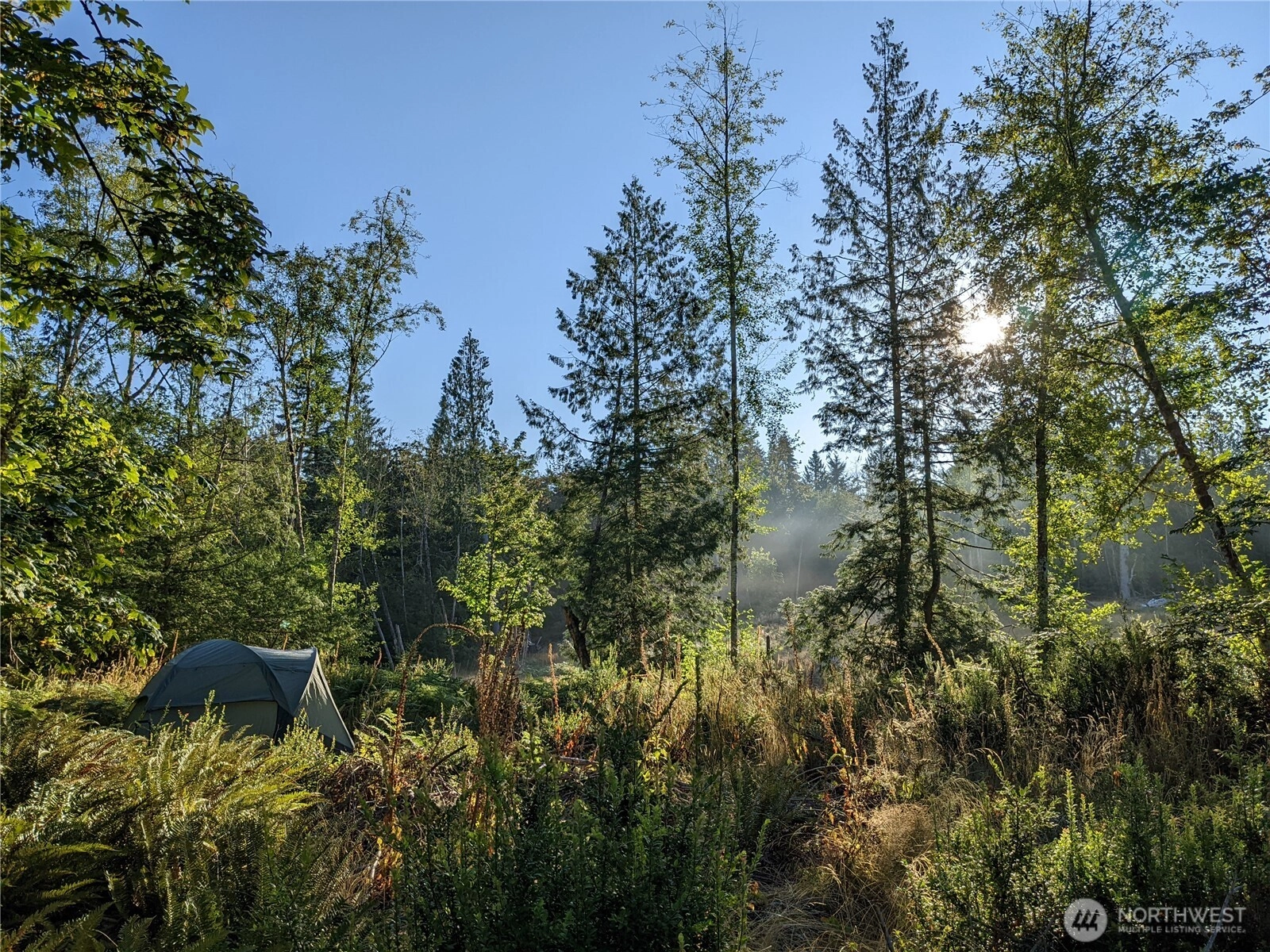 681 E Jared Rd Shelton WA 98584