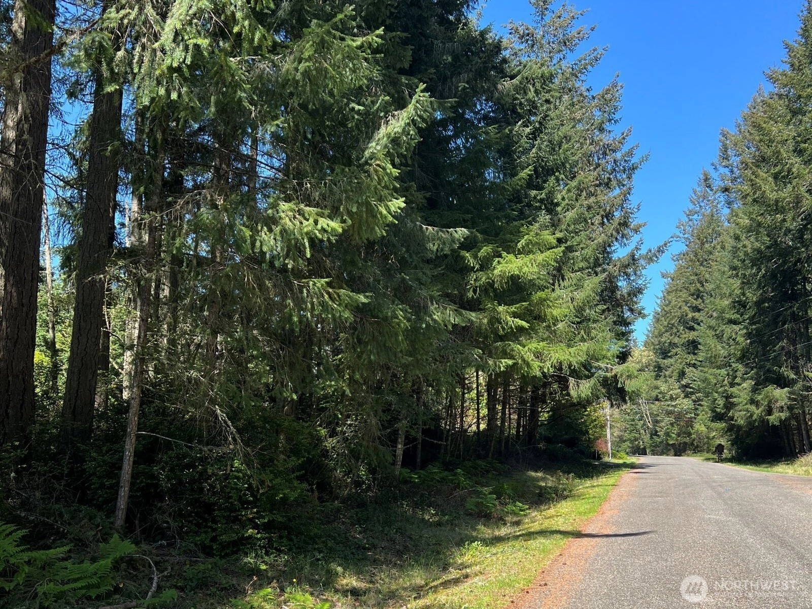 10312 Paine Rd Anderson Island WA 98303