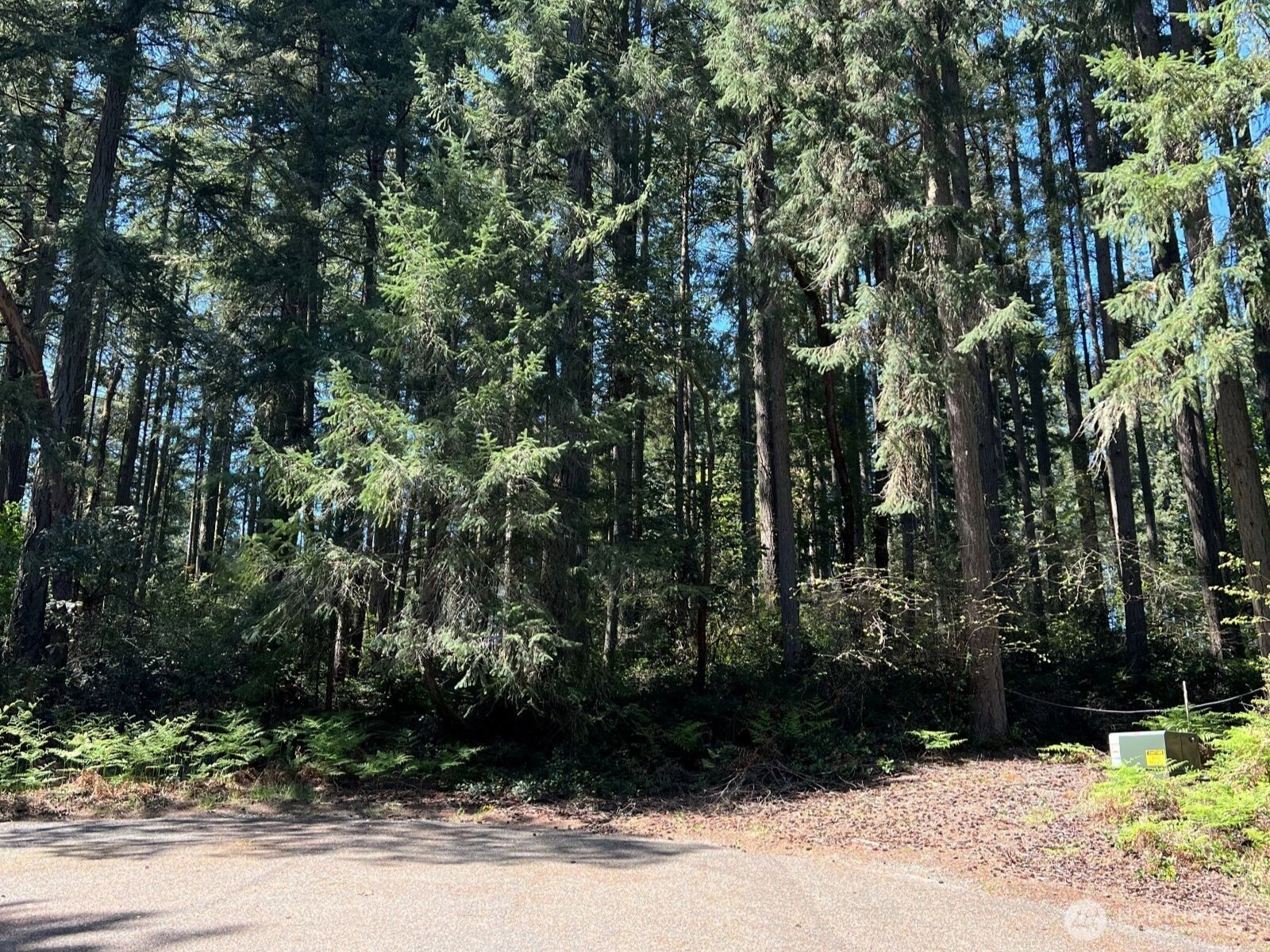 11410 103rd St Anderson Island WA 98303