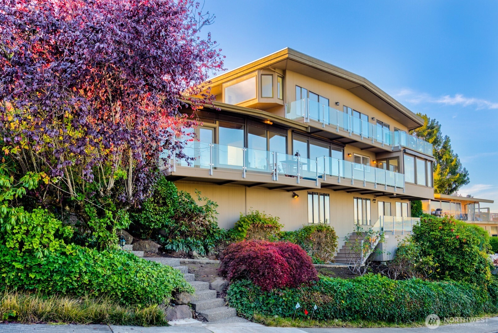 8519 54th Ave NE Seattle WA 98115