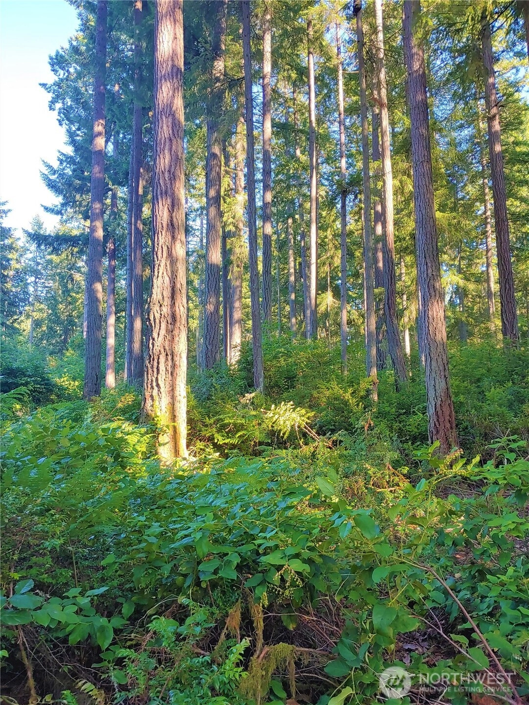 11302 106th St Unit  Anderson Island WA 98303