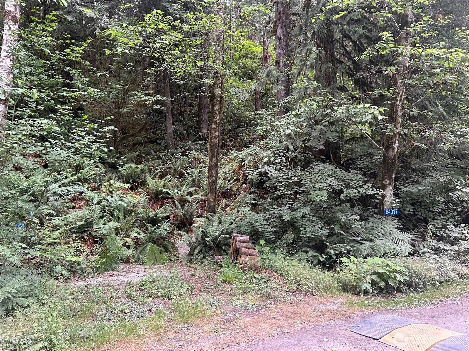 64017 E Cascade Dr Unit  Marblemount WA 98267
