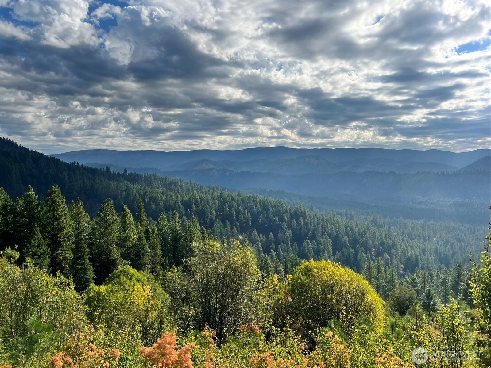 Juneberry Ln Leavenworth WA 98826