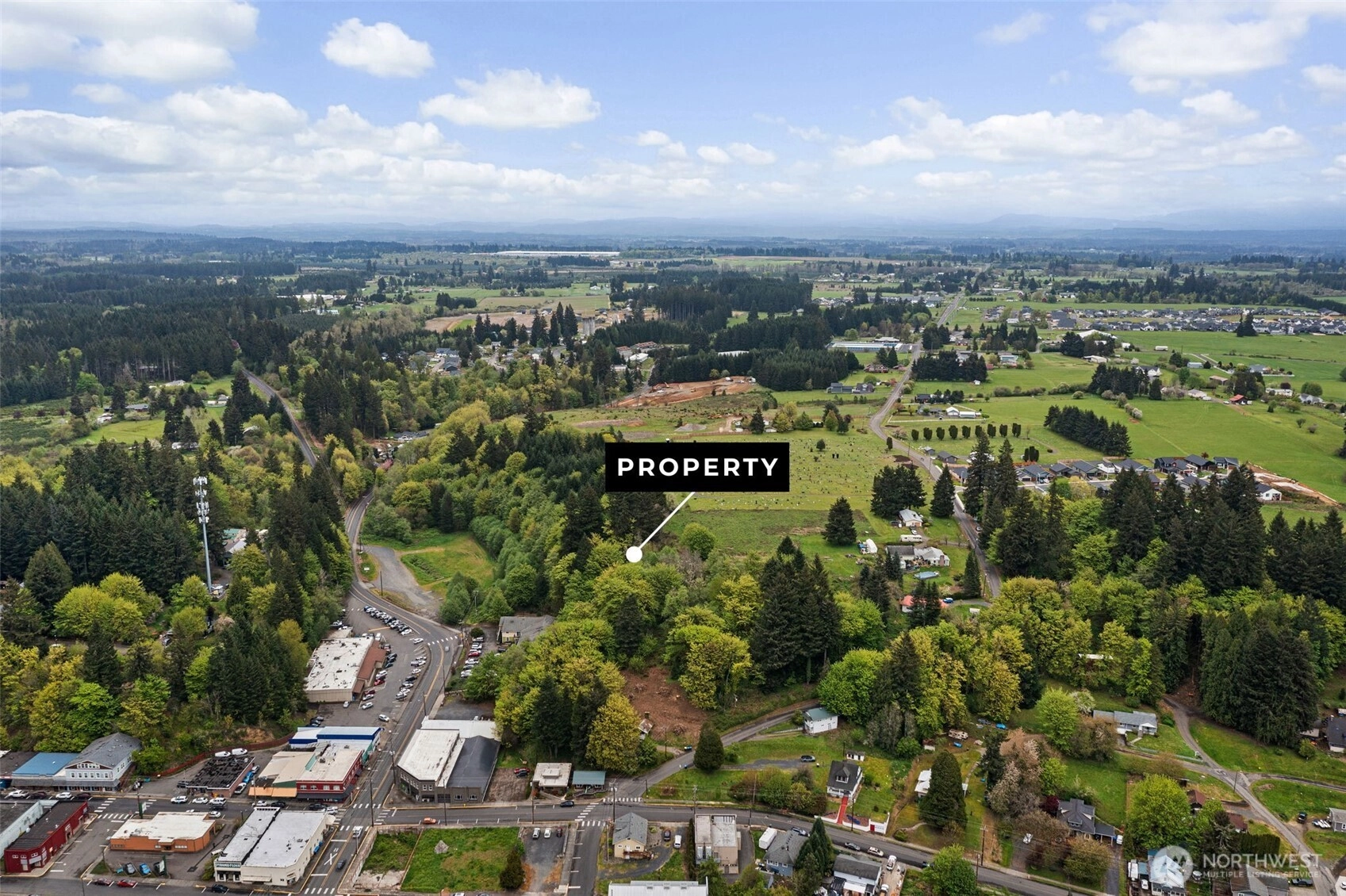 SE Cowlitz Rd Winlock WA 98596