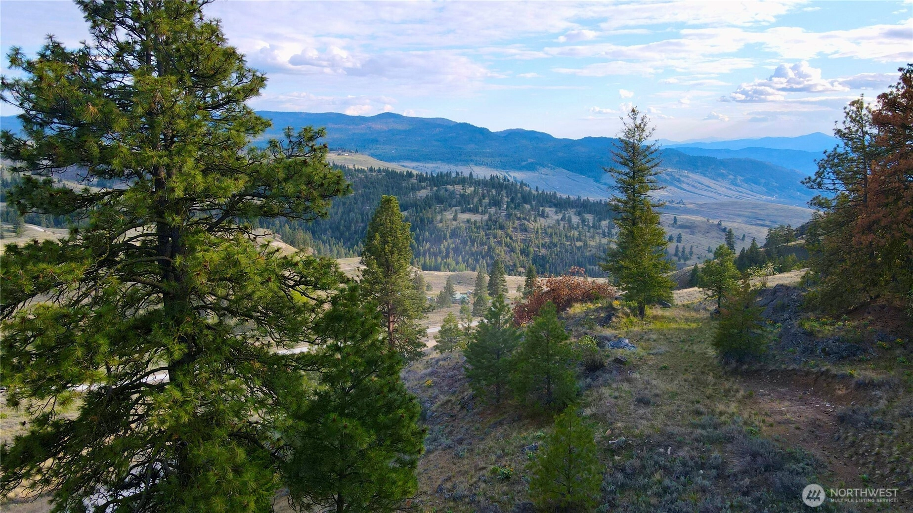 0 TBD Blue Grouse Rd Oroville WA 98844