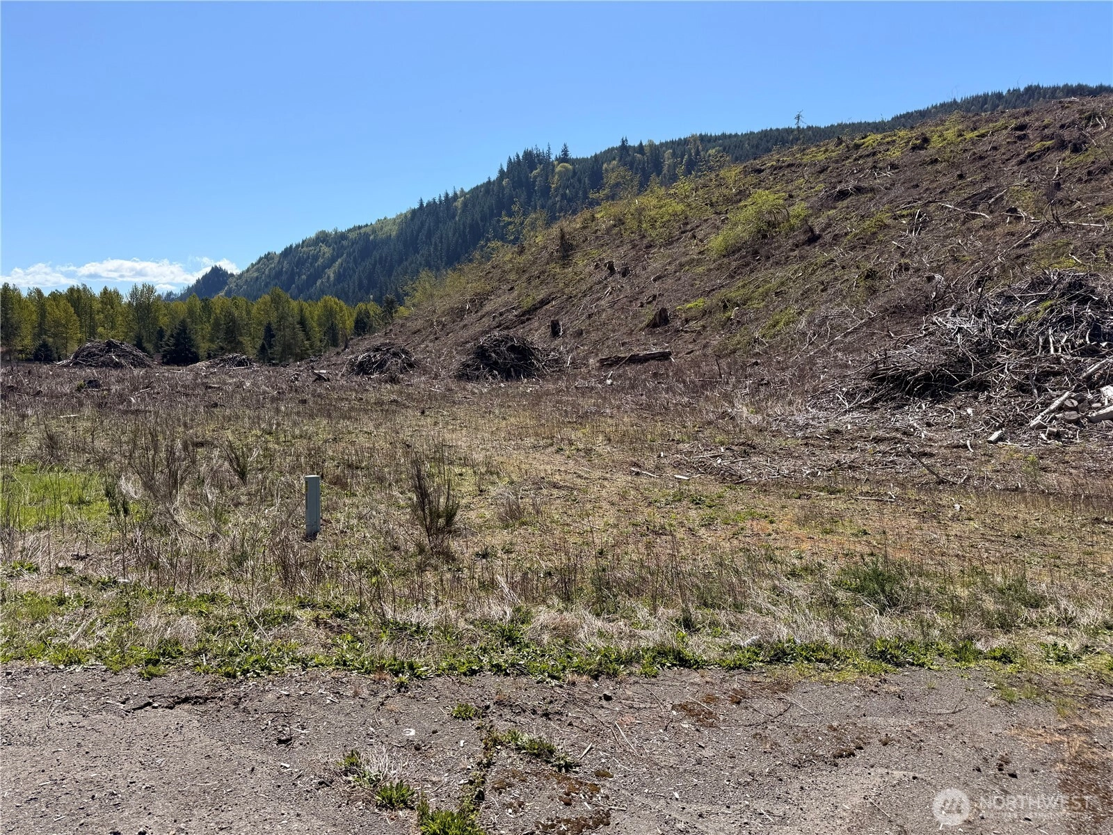 3 Us Highway 12 Unit  Glenoma WA 98336