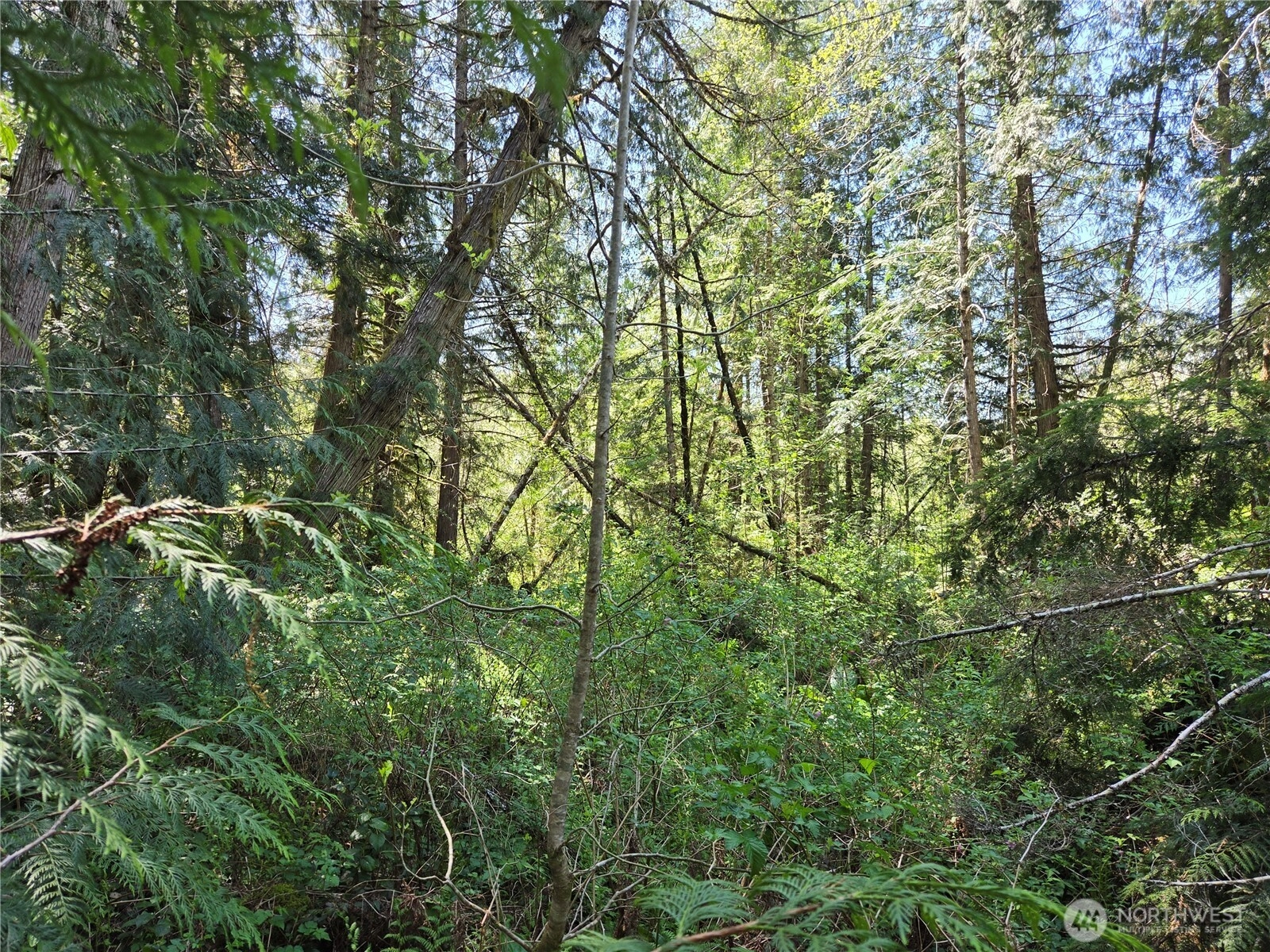 Falls Rd Randle WA 98377