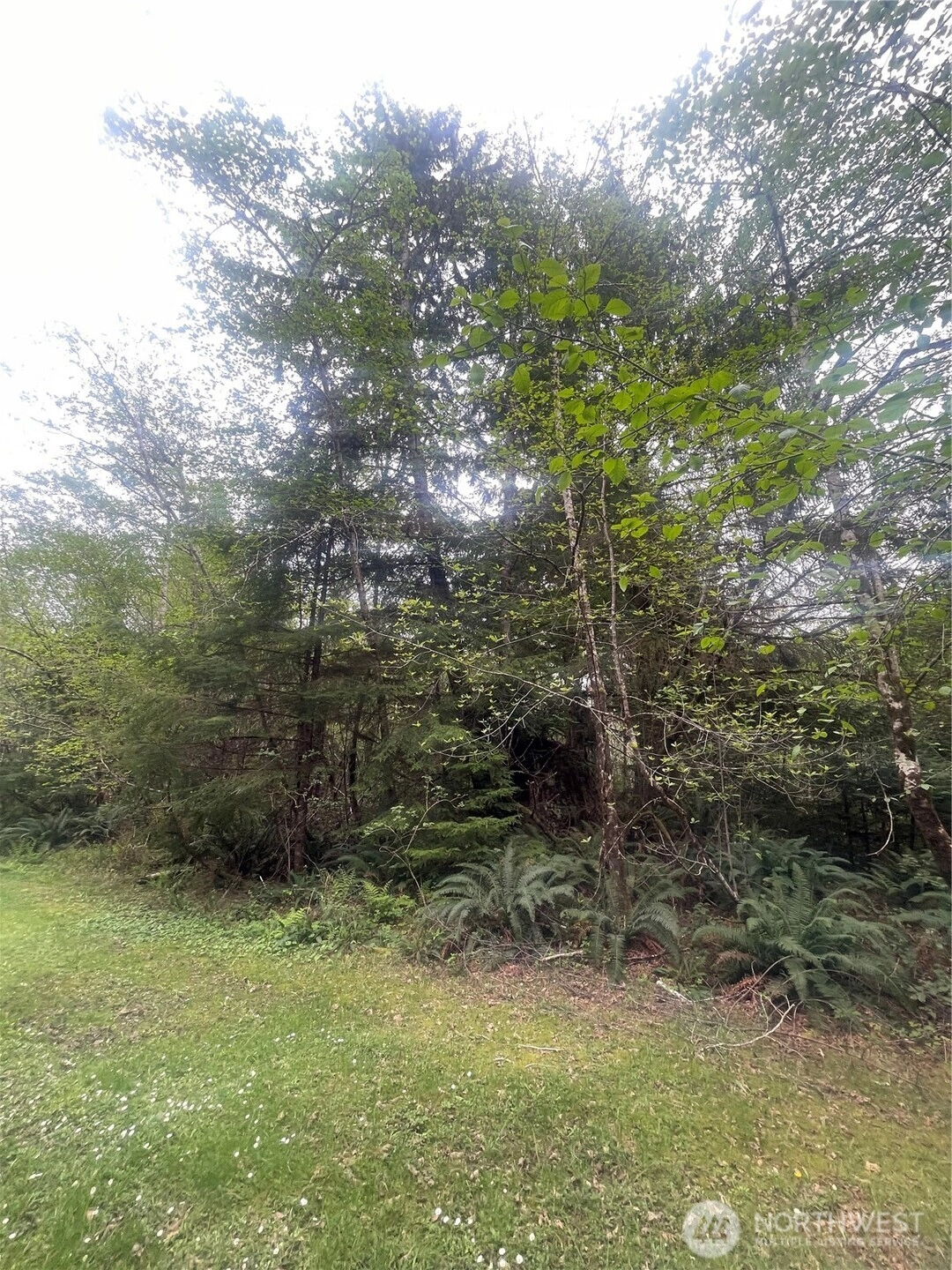 0 Lot 42 Bay Ln Unit  South Bend WA 98586