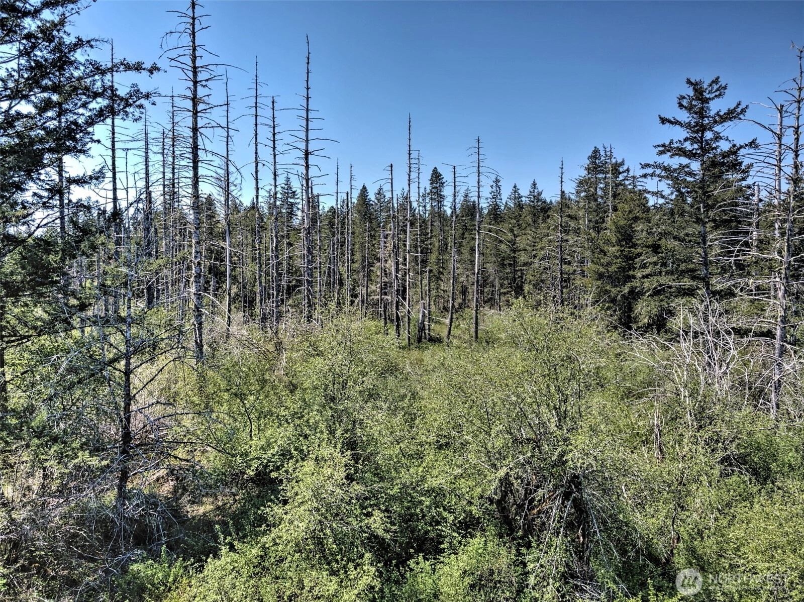 1161 NE Toonerville Dr Unit  Belfair WA 98528