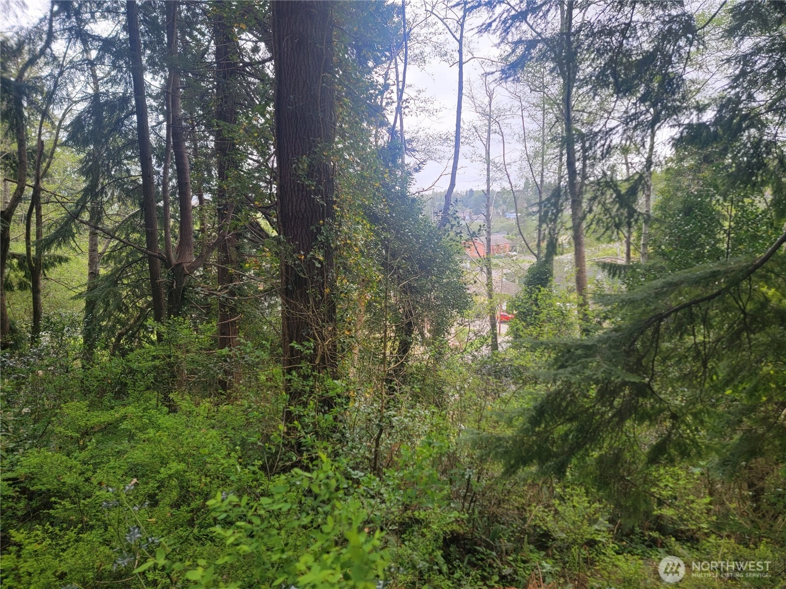 1600 Laura St Aberdeen WA 98520