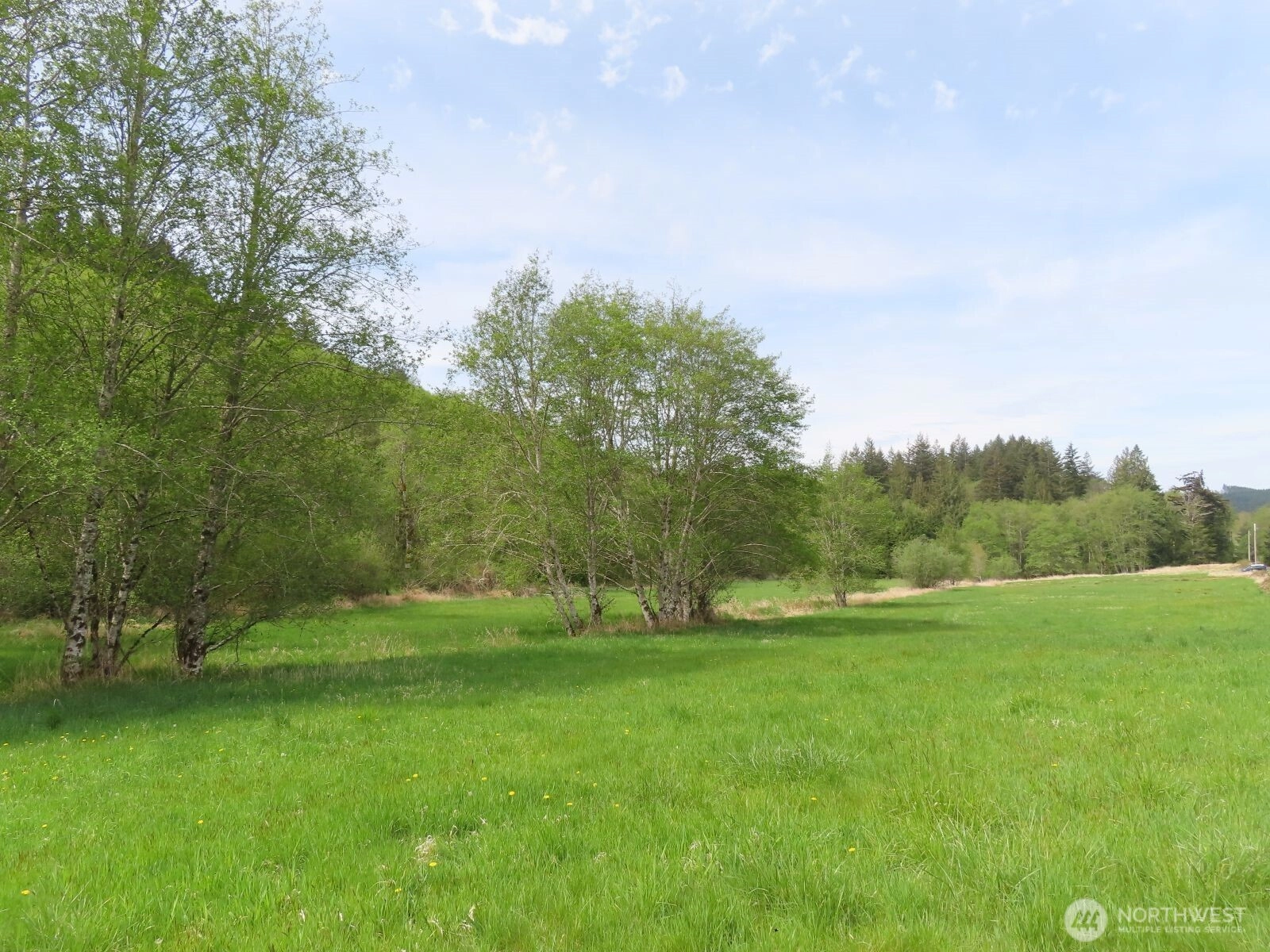 0 XXX Hagen Rd Mossyrock WA 98645