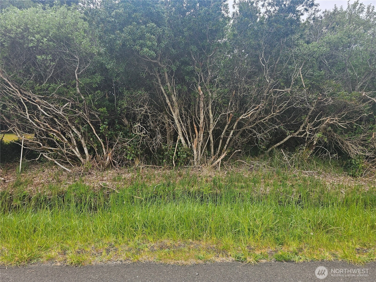 1051 Fariwood Dr SW Unit  Ocean Shores WA 98569