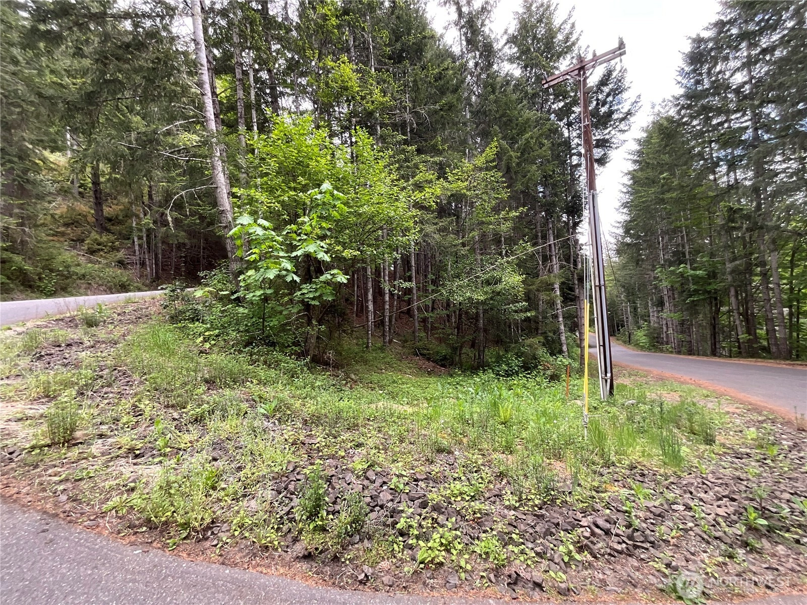 1 N Colony Surf Dr Lilliwaup WA 98555