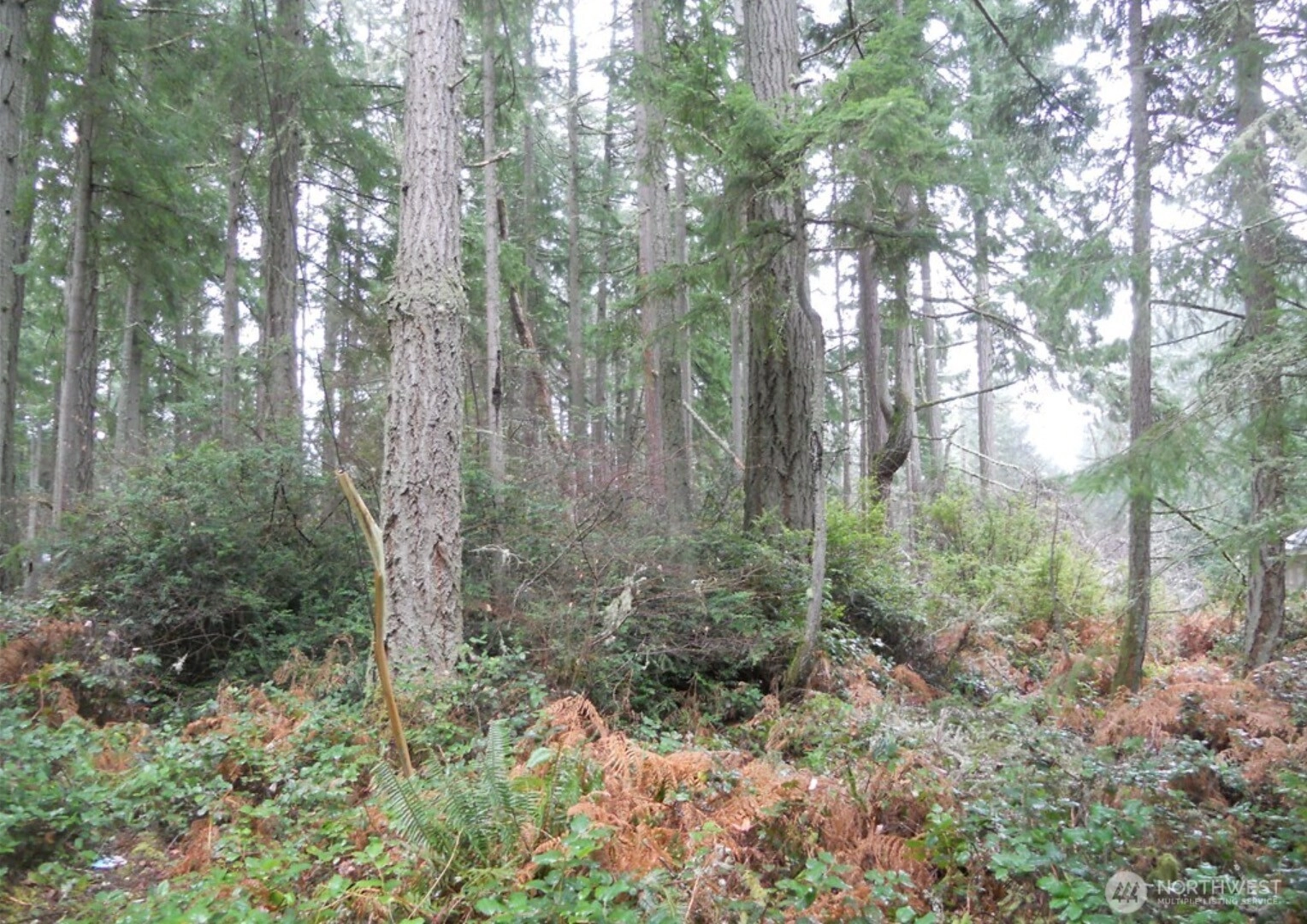 10315 107th Ave Ct Unit  Anderson Island WA 98303