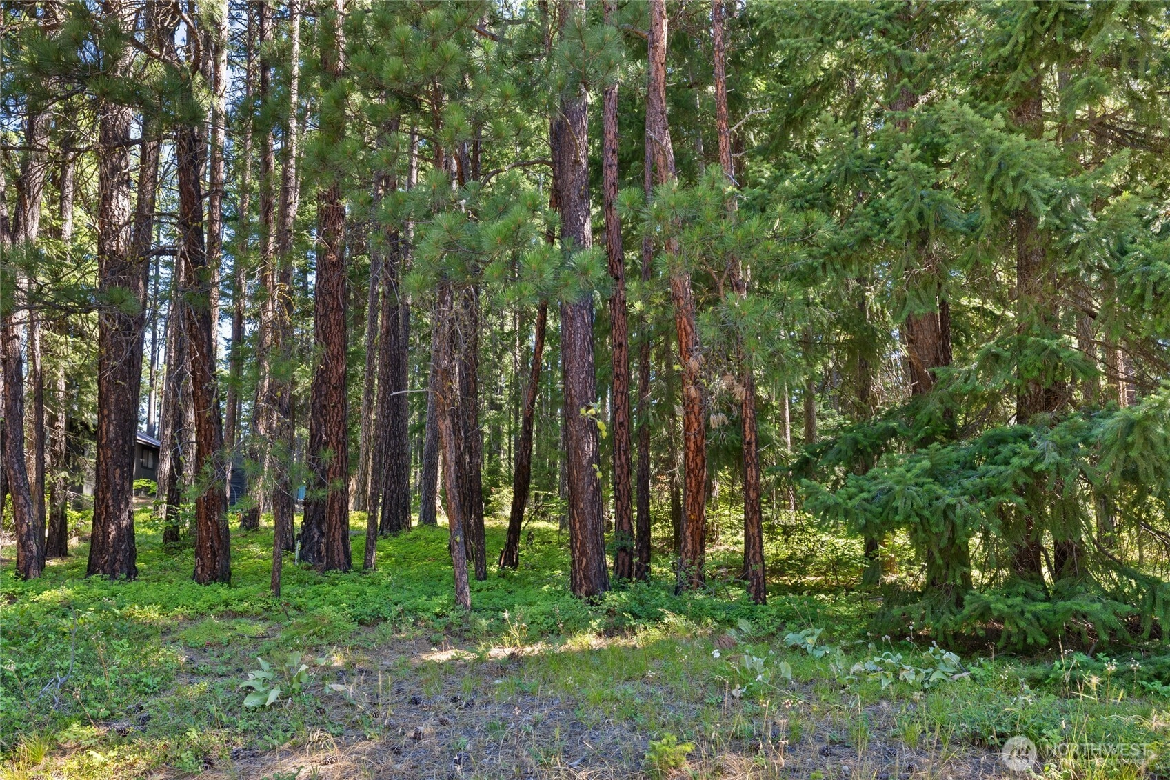 0 Lot 10 S Lake Cabins Rd Unit  Ronald WA 98940
