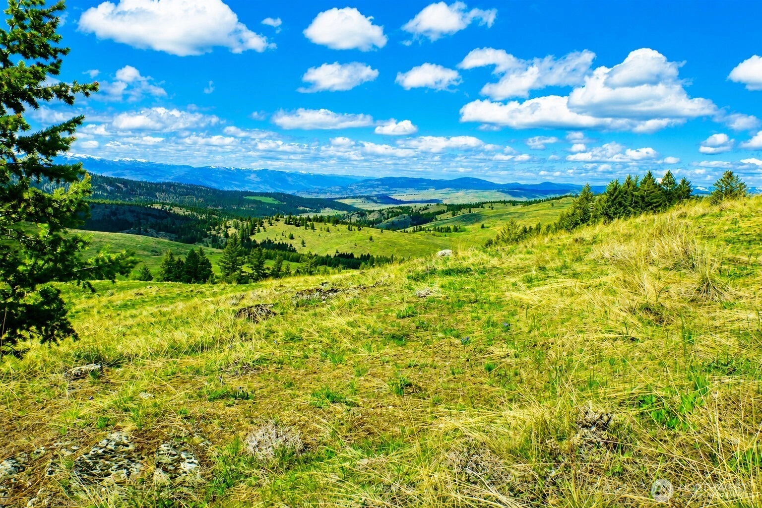 61 Janet Marie Rd Tonasket WA 98855