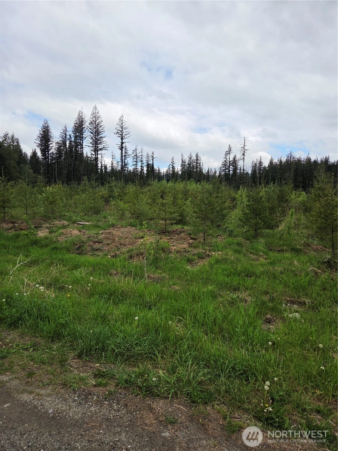 Windon Ln Maple Falls WA 98295
