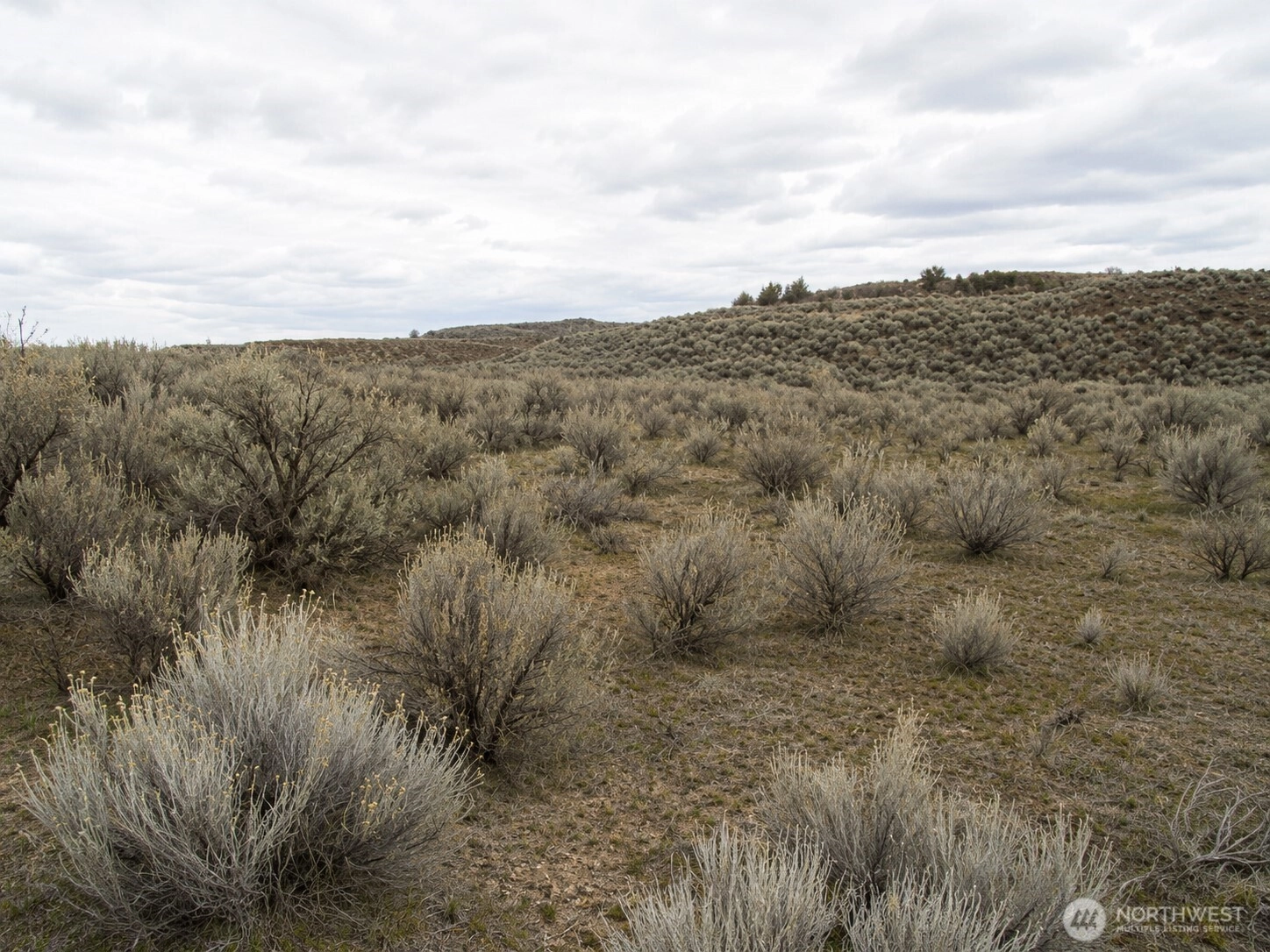 Lone Butte Ct Unit 24 Ephrata WA 98823